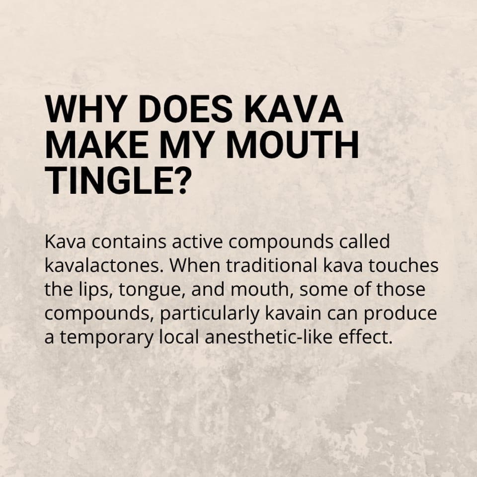 Informational graphic explaining that kava’s kavalactones can cause temporary mouth tingling and local anesthetic-like effects.